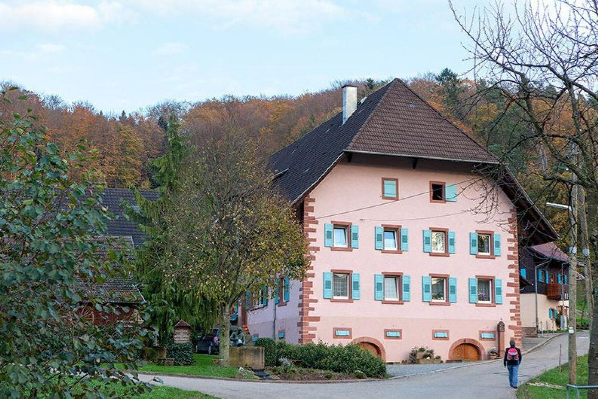 Ziegelhof Apartment Schuttertal Exterior photo